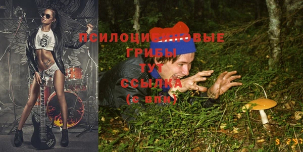 мдма Белокуриха