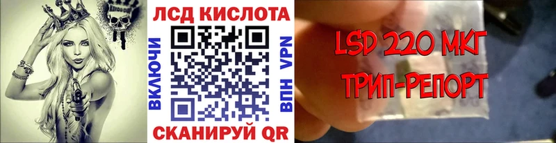 shop какой сайт  Буйнакск  Наркотические марки 1,8мг 